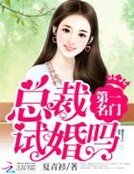 第一名门:总裁,试婚吗