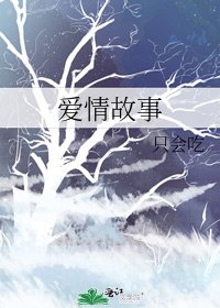 爱情故事
